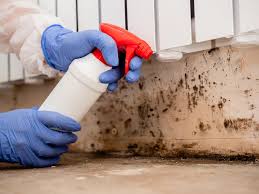 Best Mold Removal for HVAC Installations  in Chenoweth, OR